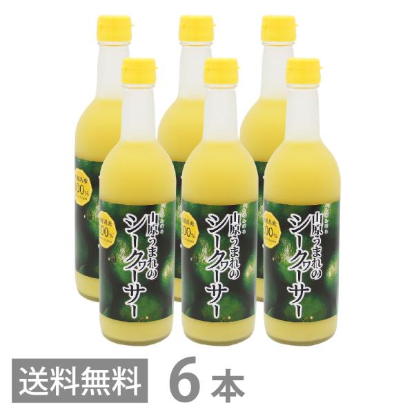 山原うまれのシークワーサー 500ml ×6本セット 送料無料 沖縄産 山原 シークヮーサー 原液 ...