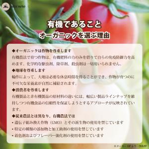 アルチェネロ 有機 エキストラヴァージン オリ...の詳細画像5