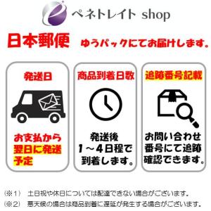 ときめきメモリアル 藤崎 詩織 SRDX フィギュアの詳細画像2