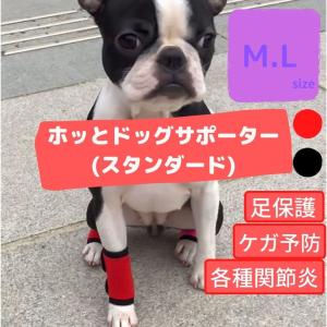 犬用サポーター 後ろ足の商品一覧 通販 Yahoo ショッピング