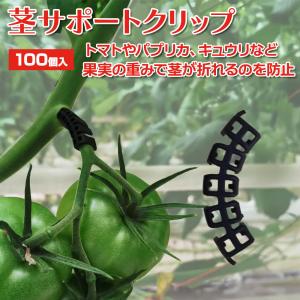 100個入り 枝折れ防止クリップ 誘引クリップ 茎サポート ガーデニング 成長サポート 園芸 農業 資材