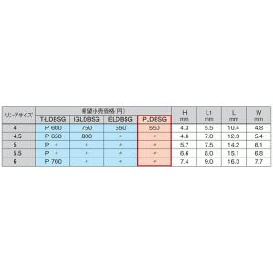 Fuji IGLDBSG 6の詳細画像2