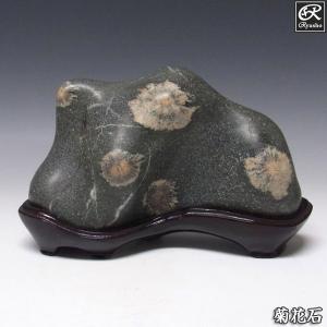 菊花石 約14.5kg 台付き 鑑賞石 原石 鉱物 鉱石 天然石 パワーストーン