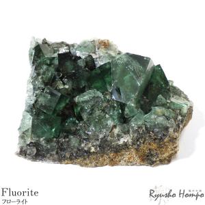 にじさんじ×セ・リーグ 6球団 おすわりぬいぐるみ 葛葉 阪神タイガース