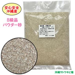 安心安全 国内産 沖縄の砂 サンゴ砂 1kg : りゅうか商事 - 通販 