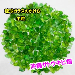 緑色　中粒　100g　琉球ガラスのかけら　カレット｜ryuuka