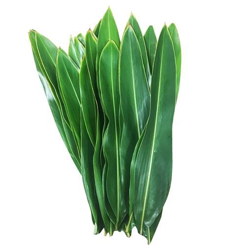 沖縄産　月桃の葉20枚セット（洗浄済）