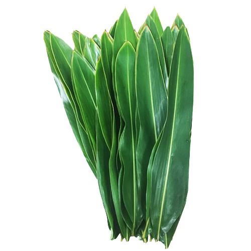 沖縄産　月桃の葉30枚セット（洗浄済）