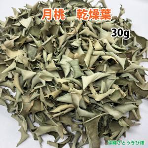 沖縄産　月桃　乾燥葉　30ｇ　　| サンニン ハーブ ショウガ科 化粧水 虫除け 虫よけ シェルジンジャー