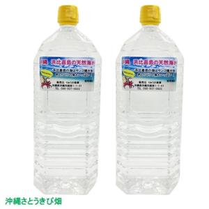 沖縄 浜比嘉島の天然海水 2L×2本の商品画像