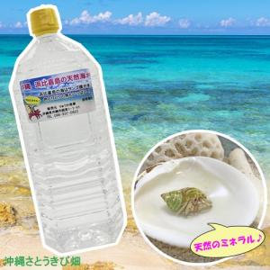 沖縄 浜比嘉島の天然海水 2L×2本の詳細画像1
