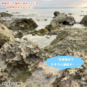 沖縄 浜比嘉島の天然海水 2L×2本の詳細画像4