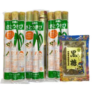 サトウキビ 苗の商品一覧 通販 Yahoo ショッピング