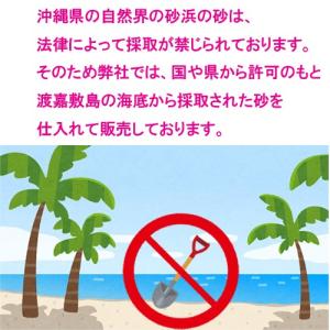 安心安全 国内産 沖縄の砂 【新タイプ】超細か...の詳細画像5