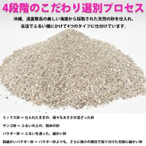 安心安全 国内産 沖縄の砂 【新タイプ】超細か...の詳細画像2