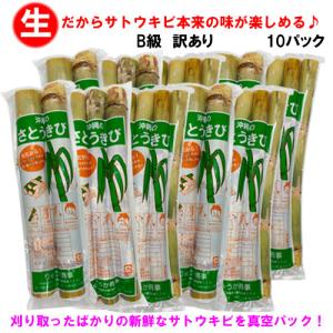 B級訳あり 沖縄県産 生さとうきび(サトウキビ) 食用 約25cm