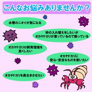 微生物酵素 オカヤドカリ用 環境改善液 (33...の詳細画像1