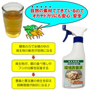 微生物酵素 オカヤドカリ用 環境改善液 (33...の詳細画像3