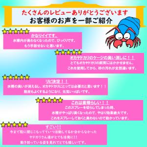 微生物酵素 オカヤドカリ用 環境改善液 (33...の詳細画像4