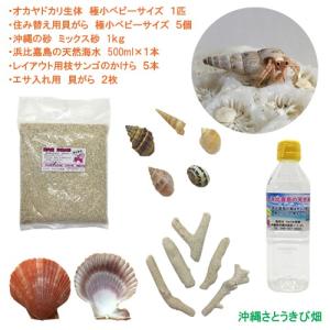 ヤドカリ飼育セット 熱帯魚 アクアリウム用品 の商品一覧 ペット用品 生き物 通販 Yahoo ショッピング