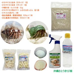 ヤドカリ飼育セット 熱帯魚 アクアリウム用品 の商品一覧 ペット用品 生き物 通販 Yahoo ショッピング