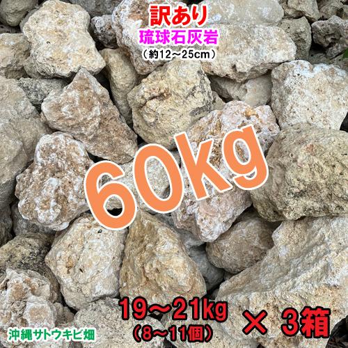 【送料無料】訳あり　琉球石灰岩　60kg