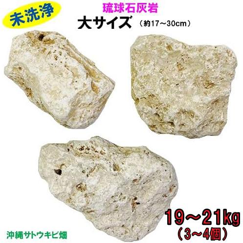 【送料無料】K 琉球石灰岩　未洗浄　大サイズ　19〜21kg(3〜4個)