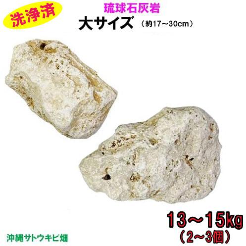 【送料無料】F 琉球石灰岩　洗浄済　大サイズ　13〜15kg(2〜3個)