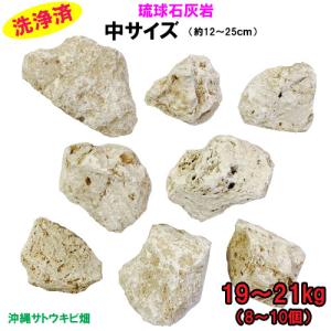 【送料無料】J 琉球石灰岩　洗浄済　中サイズ　19〜21kg(8〜10個)