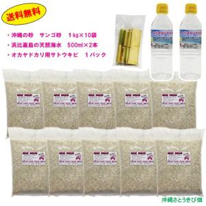 オカヤドカリ飼育セット　サンゴ砂10kg・海水500ml×2・サトウキビ