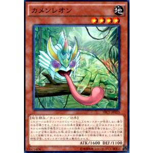 カメンレオン(スーパー)