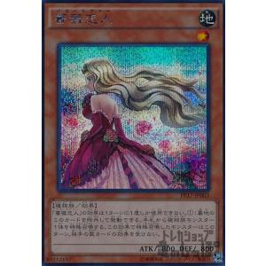 遊戯王 DOOD-JP039 黒薔薇の破滅竜 (日本語版 ウルトラレア) ドゥーム