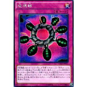 破壊輪(シークレット)
