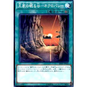 王家の眠る谷-ネクロバレー(ノーマルパラレル) 遊戯王