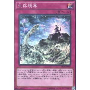 生存境界(スーパー) 遊戯王