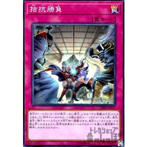 遊戯王オフィシャルカードゲーム デュエルモンスターズ 遊戯王