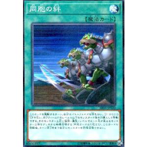 同胞の絆(ノーマルパラレル) 遊戯王