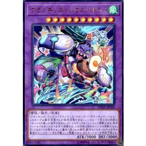 遊戯王オフィシャルカードゲーム デュエルモンスターズ 遊戯王カード