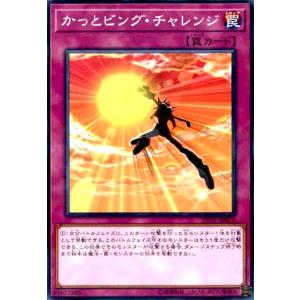 かっとビングチャレンジ(ノーマルパラレル) 遊戯王