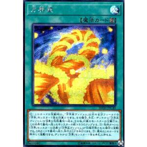 方界業(シークレット) 遊戯王