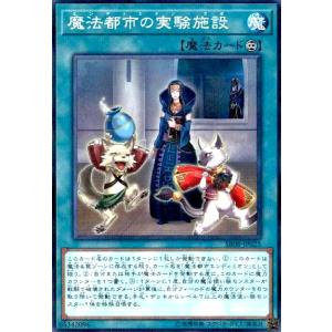 魔法都市の実験施設(ノーマルパラレル) 遊戯王