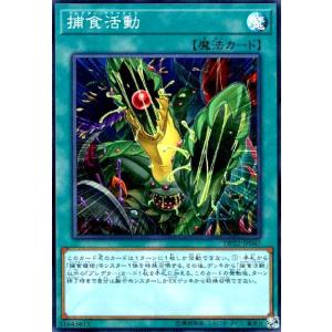 カオス・ソルジャー -開闢の使者-(25thレア)(25DS-JP002) 遊戯王