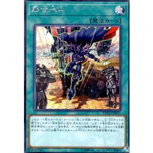 遊戯王オフィシャルカードゲーム デュエルモンスターズ 遊戯王カード