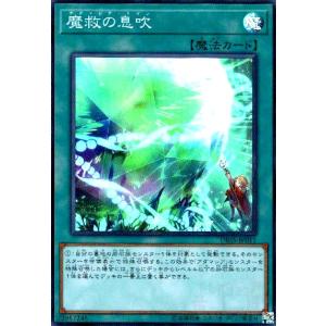 青眼の白龍(高価N)(SK2-001) 遊戯王 : トレカショップ竜のしっぽ Yahoo