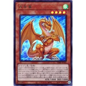 遊戯王オフィシャルカードゲーム デュエルモンスターズ 遊戯王カード
