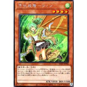 竜騎士ブラック・マジシャン・ガール(シークレット/イラスト違い