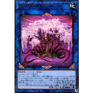 遊戯王オフィシャルカードゲーム デュエルモンスターズ 遊戯王カード