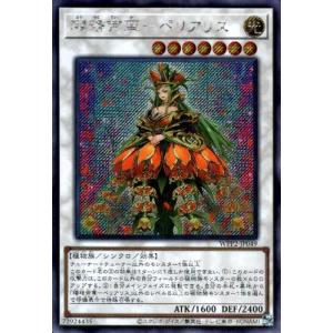 真エクゾディア[20thシークレット]/闇 遊戯王 : トレカショップ竜の