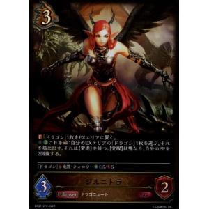 シャドウバースエボルヴ　新たなる創世　ドラゴン　LG以下　3コン Amazon.co.jp: Shadowverse EVOLVE ブースターパック 「新たなる