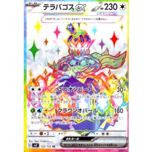 ポケモンカードゲーム テラパゴスex SAR sv8a 226/187 ポケモンカード